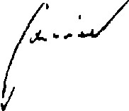 zazn_35-1.jpg